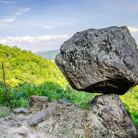 Jazdecký Areál Budička * Trnie